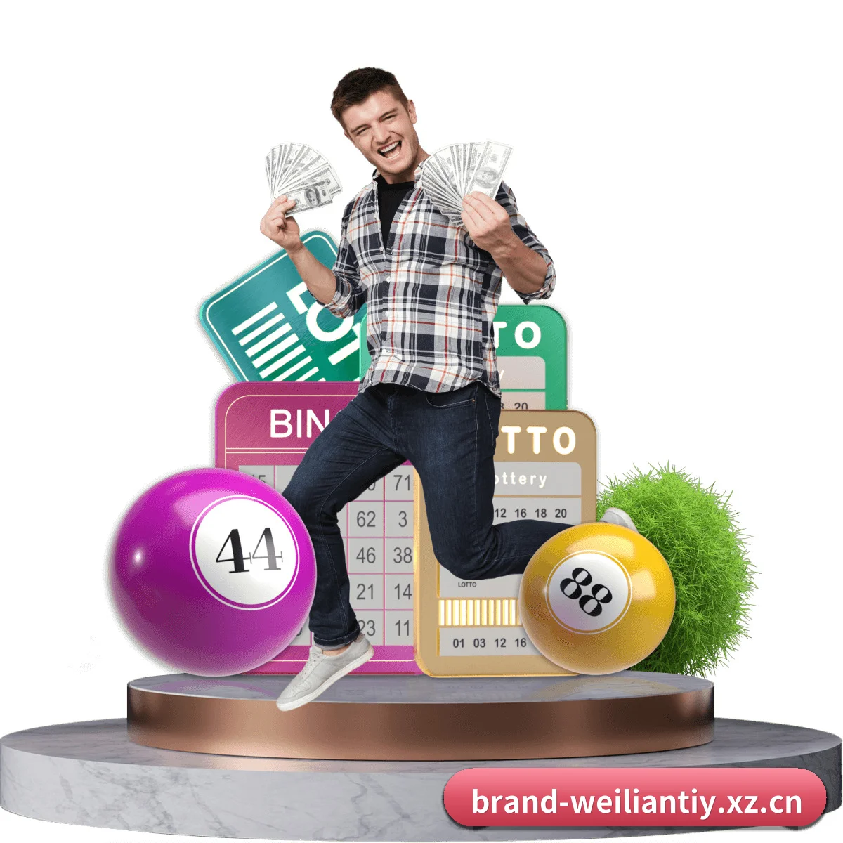威廉体育 APP